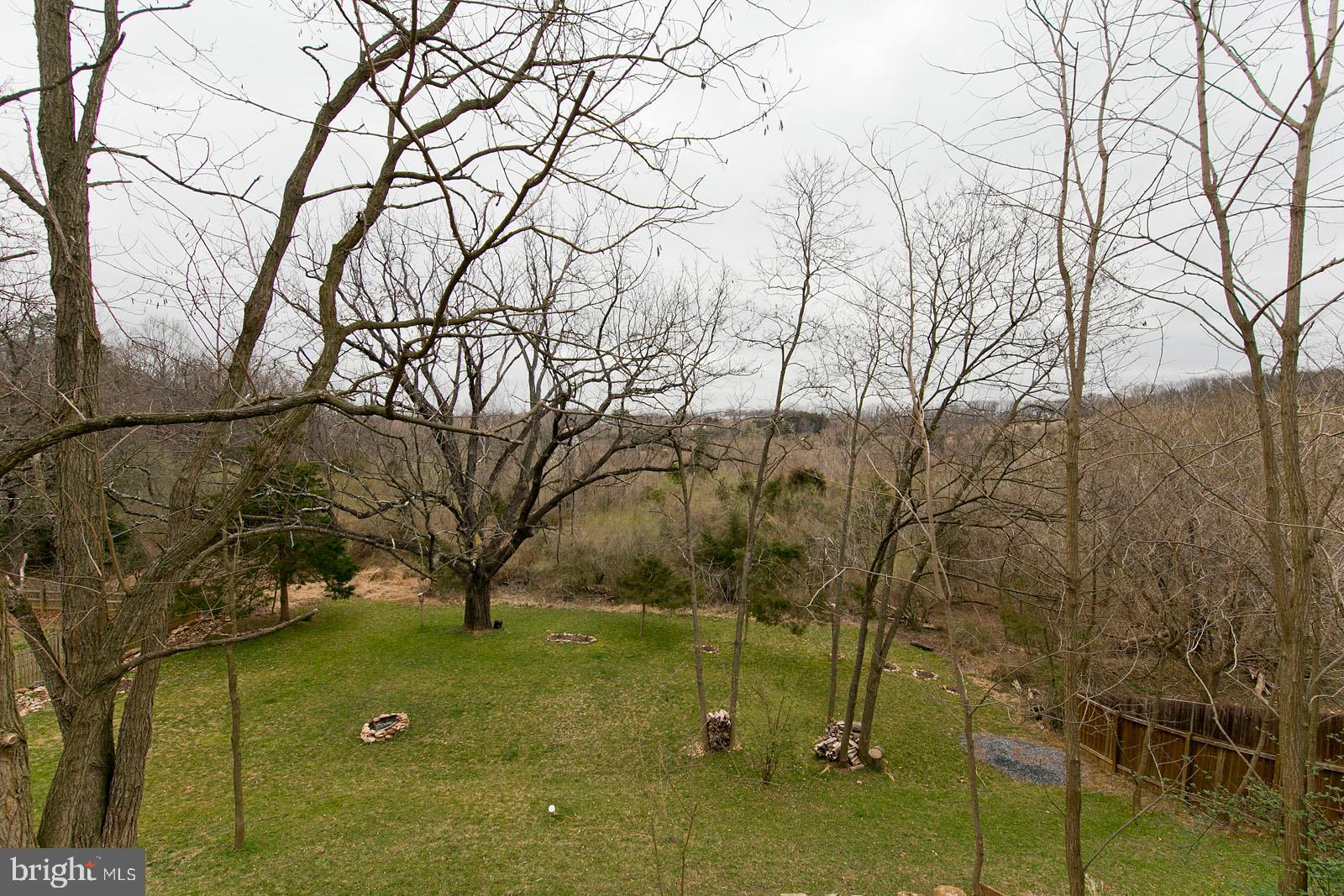 1434 Canterbury Road Front Royal, VA 22630 - Photo 45 of 57 Lower back yard backs to a wooded area