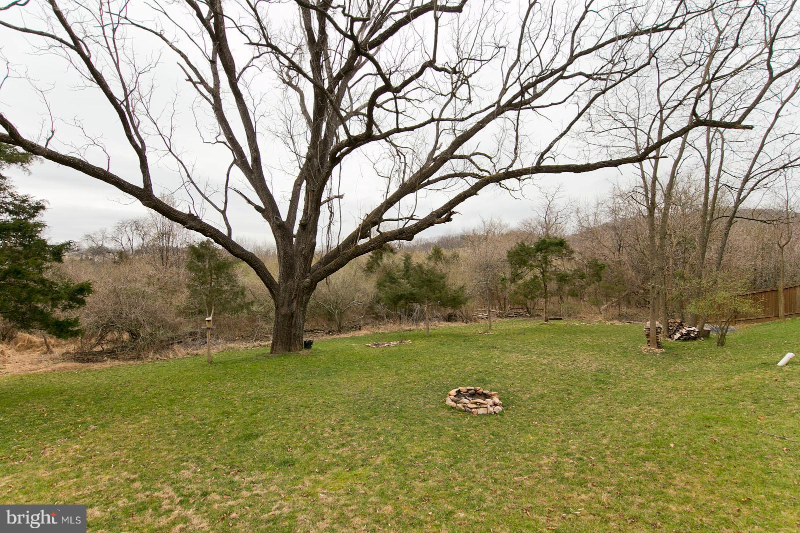 1434 Canterbury Road Front Royal, VA 22630 - Photo 48 of 57 Private back yard with BBQ pit