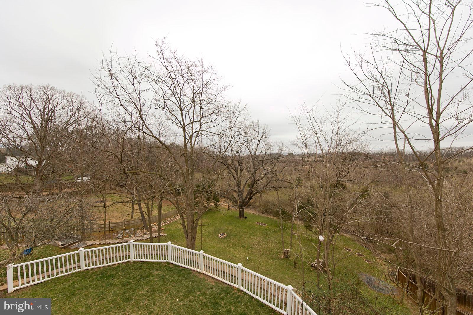 1434 Canterbury Road Front Royal, VA 22630 - Photo 52 of 57 View of Back yard from deck