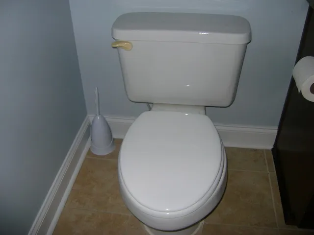 $1,375 | 28 Honeysuckle Way, Fort Mitchell, AL 36856