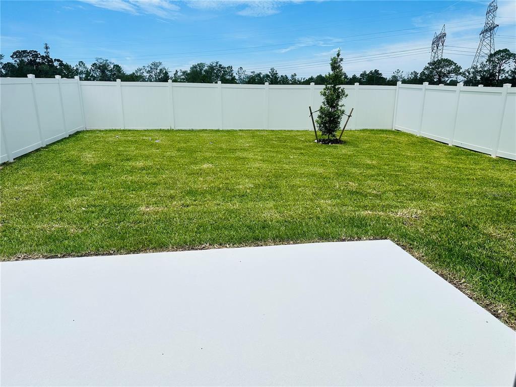 3537 Hornbeam Road Spring Hill, FL 34609 - Photo 4 of 5