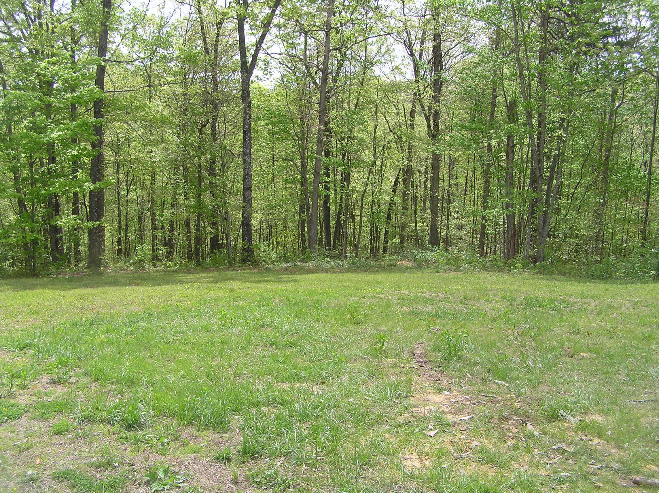 326 Church Road Dunlap, TN 37327 - Photo 48 of 64 Church Rd 037