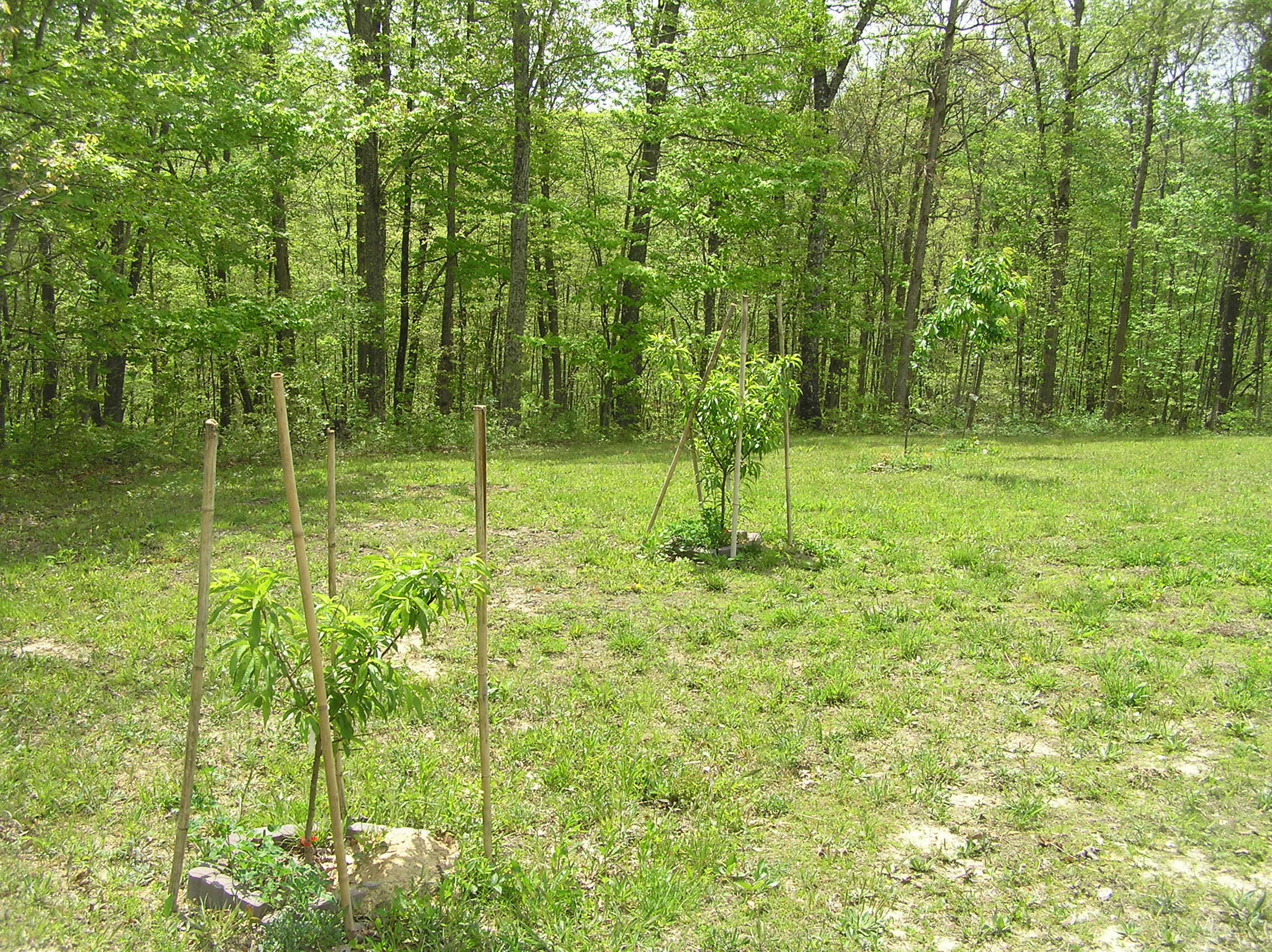 326 Church Road Dunlap, TN 37327 - Photo 49 of 64 Church Rd 038