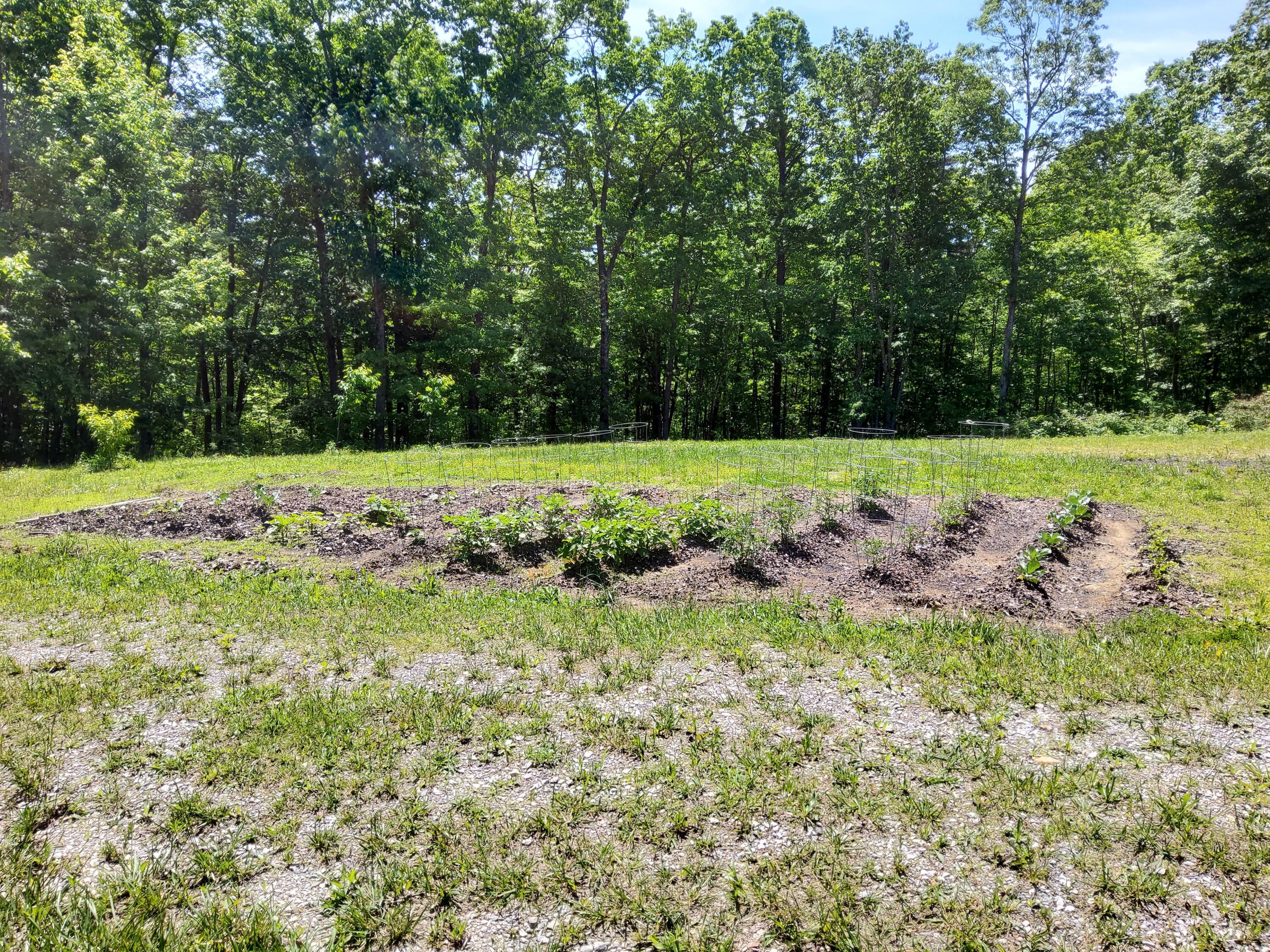 326 Church Road Dunlap, TN 37327 - Photo 57 of 64 20240512_110058