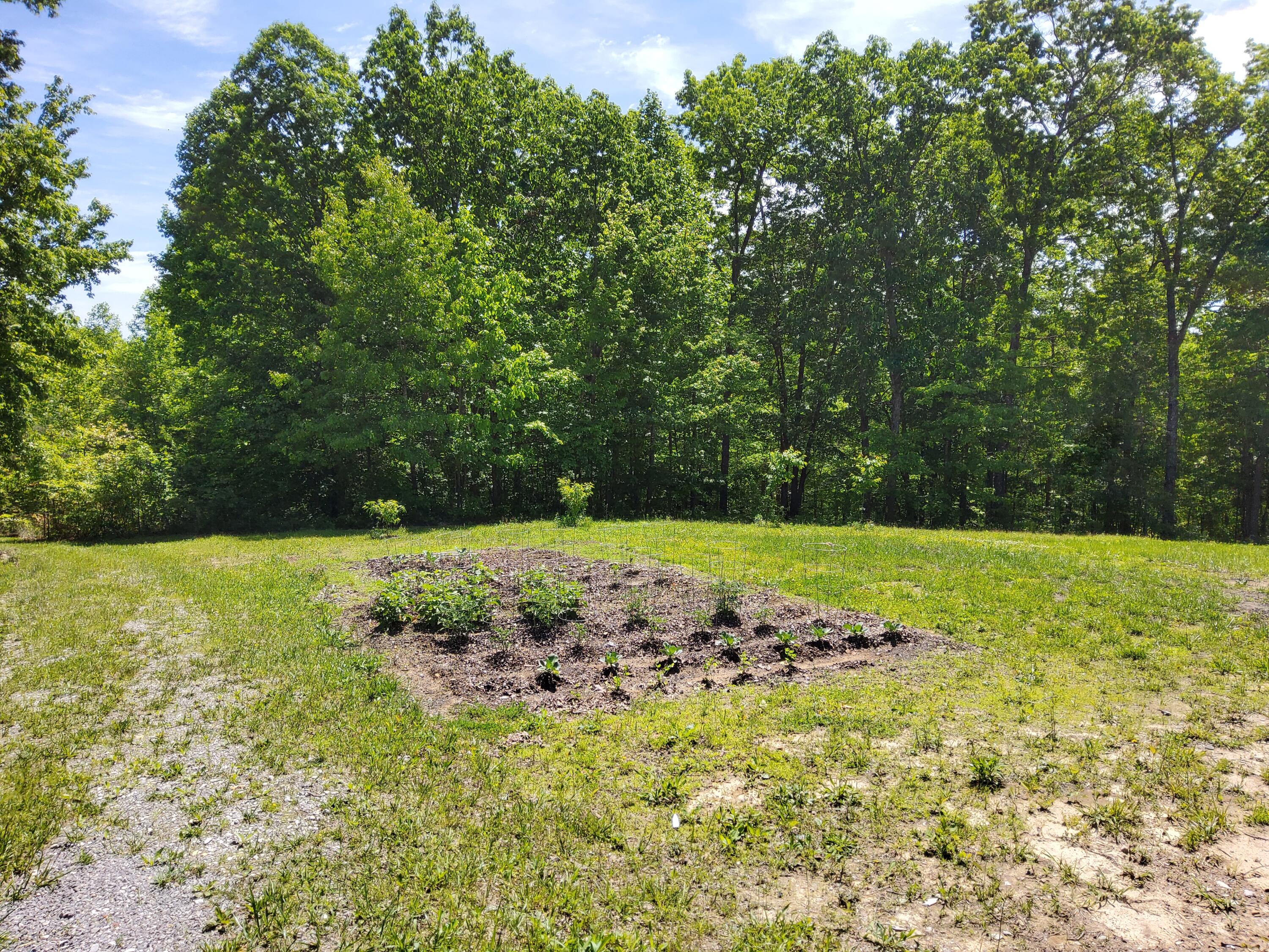 326 Church Road Dunlap, TN 37327 - Photo 58 of 64 20240512_110036