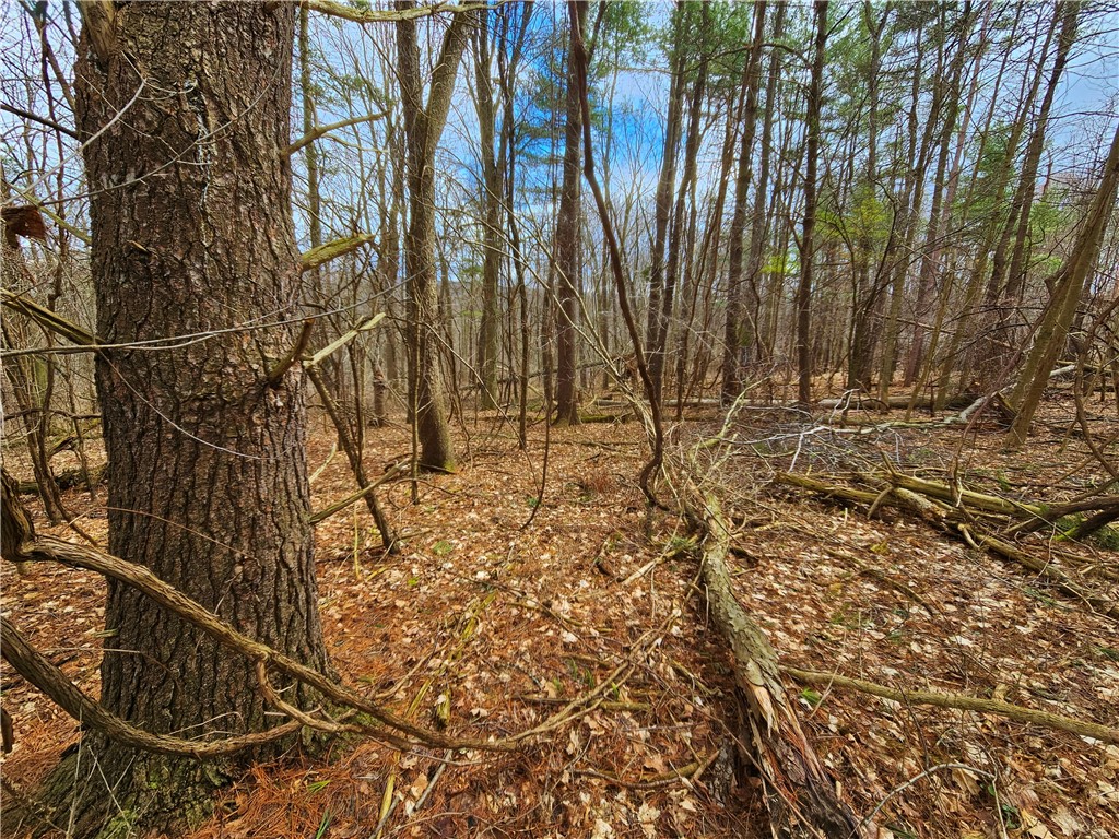 2130 Guyanoga Road Jerusalem, NY 14527 - Photo 17 of 26
