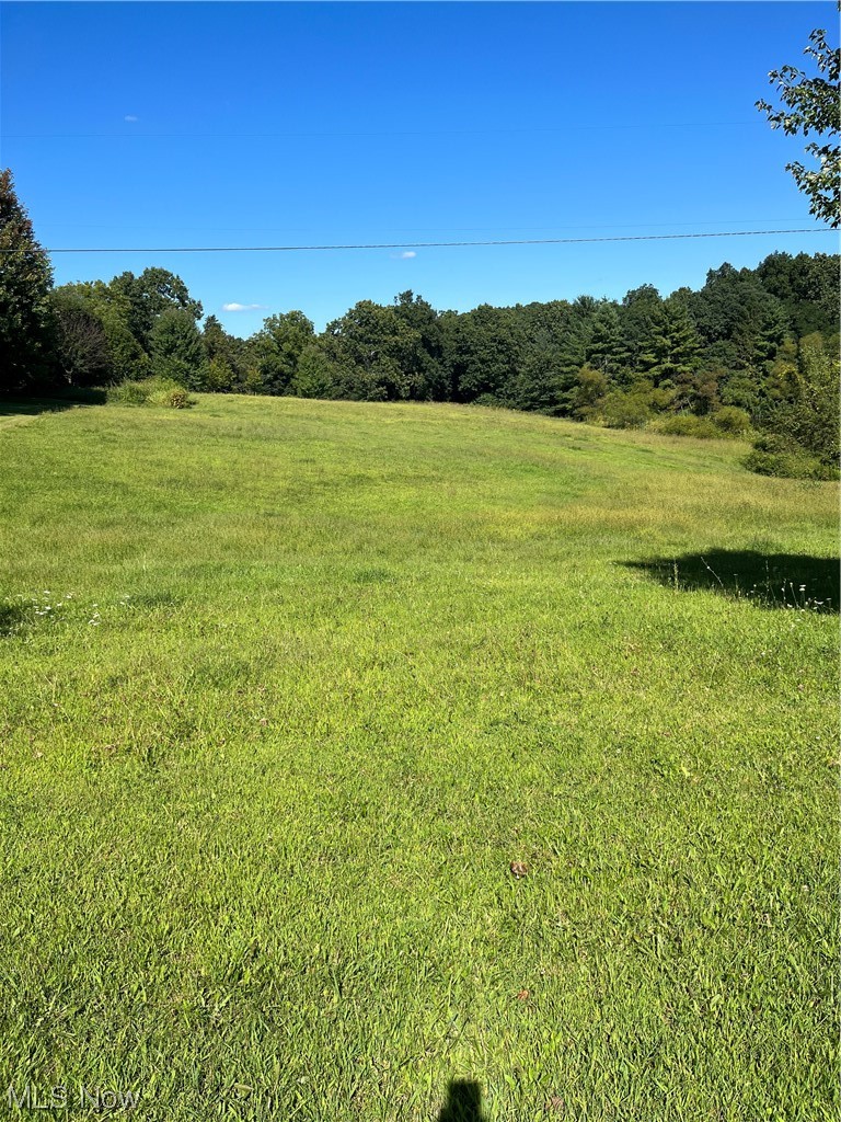 Patch Road New Concord, OH 43762 - Photo 1 of 2 View of acreage from county road