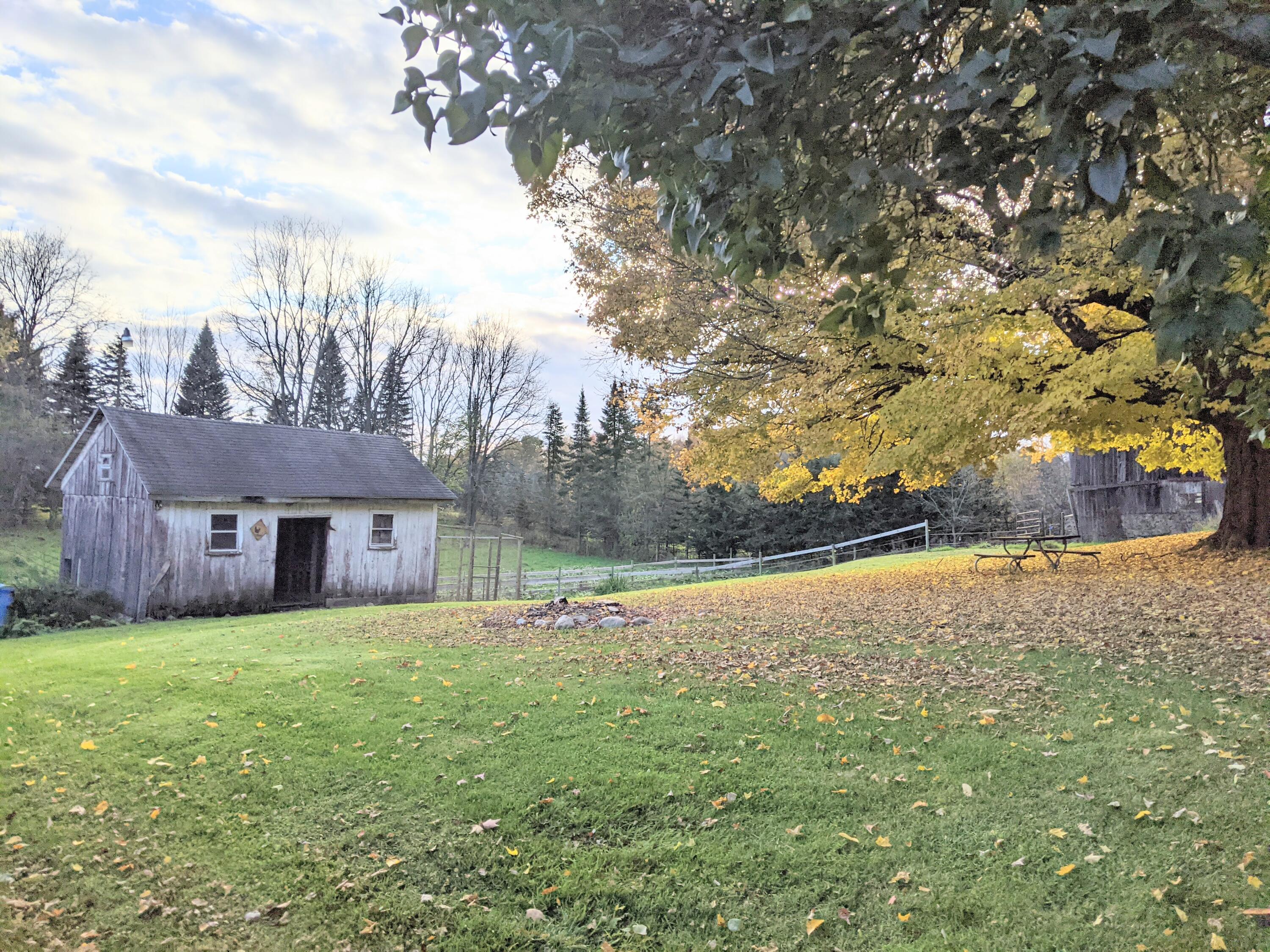8288 Gurd Road Dowling, MI 49050 - Photo 26 of 32 PXL_20211104_211209886