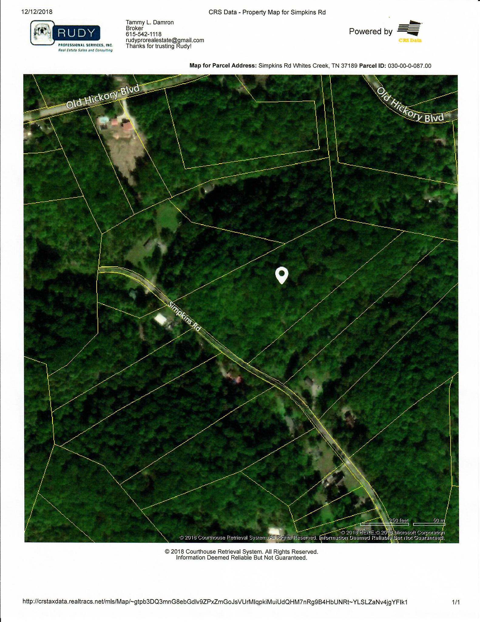 0 Simpkins Road Whites Creek, TN 37189 - Photo 1 of 1 a black and white photo of a field