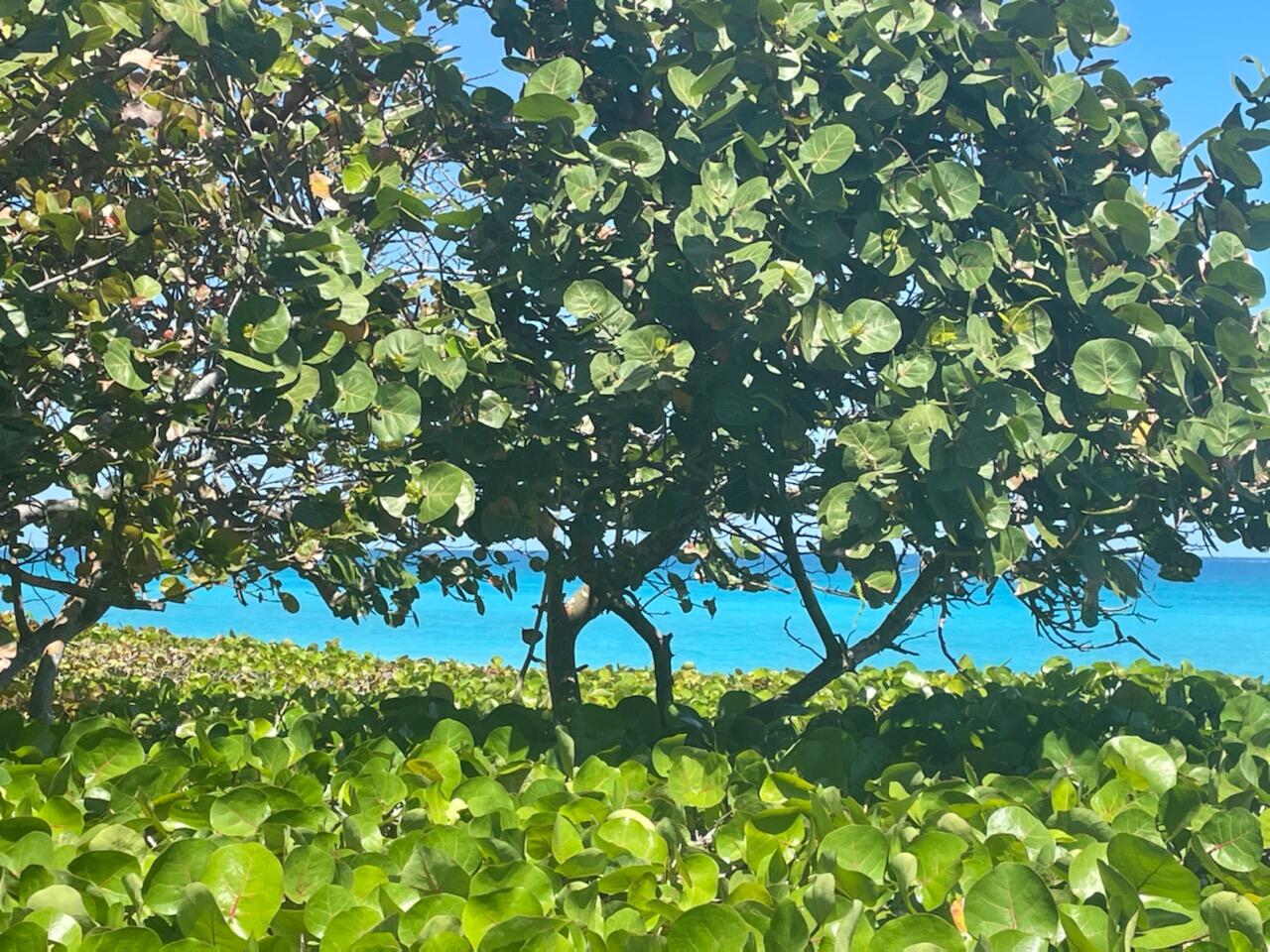 63 Hickory Hill Road Tequesta, FL 33469 - Photo 23 of 28 Jupiter Beach