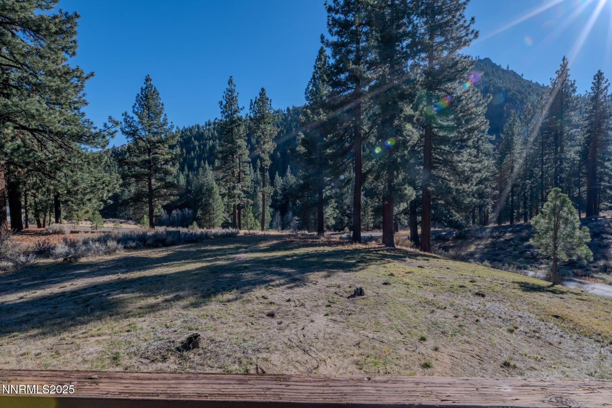 4650 Old Clear Creek Road Carson City, NV 89705 - Photo 43 of 59 a view of a yard with a house