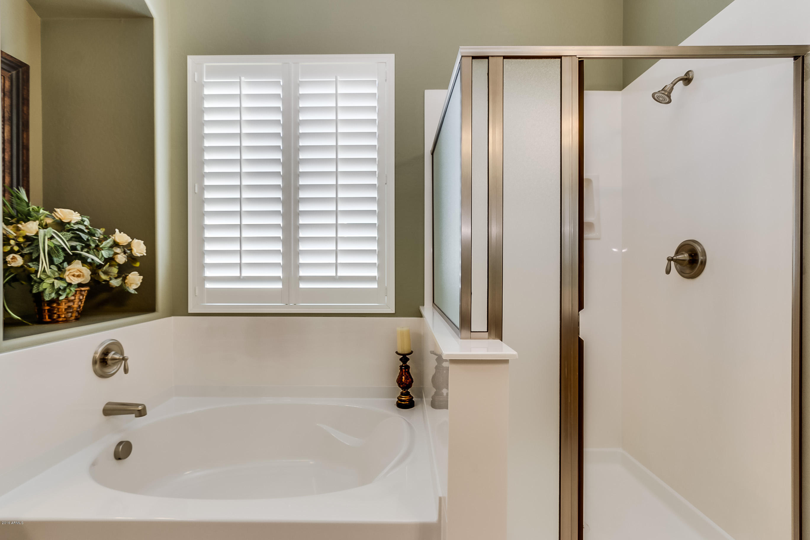 3462 East Morrison Ranch Parkway Gilbert, AZ 85296 - Photo 16 of 31 Master Bath