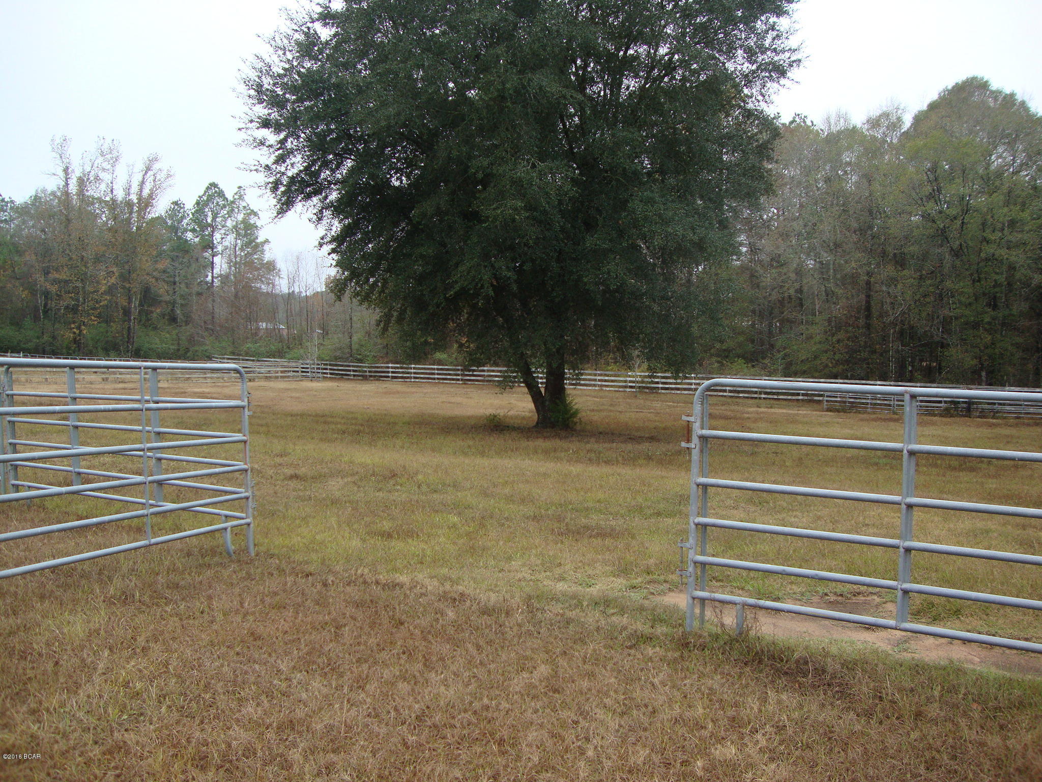 2907 Marvin Moss Road Bonifay, FL 32425 - Photo 56 of 70 Gallery Image 56