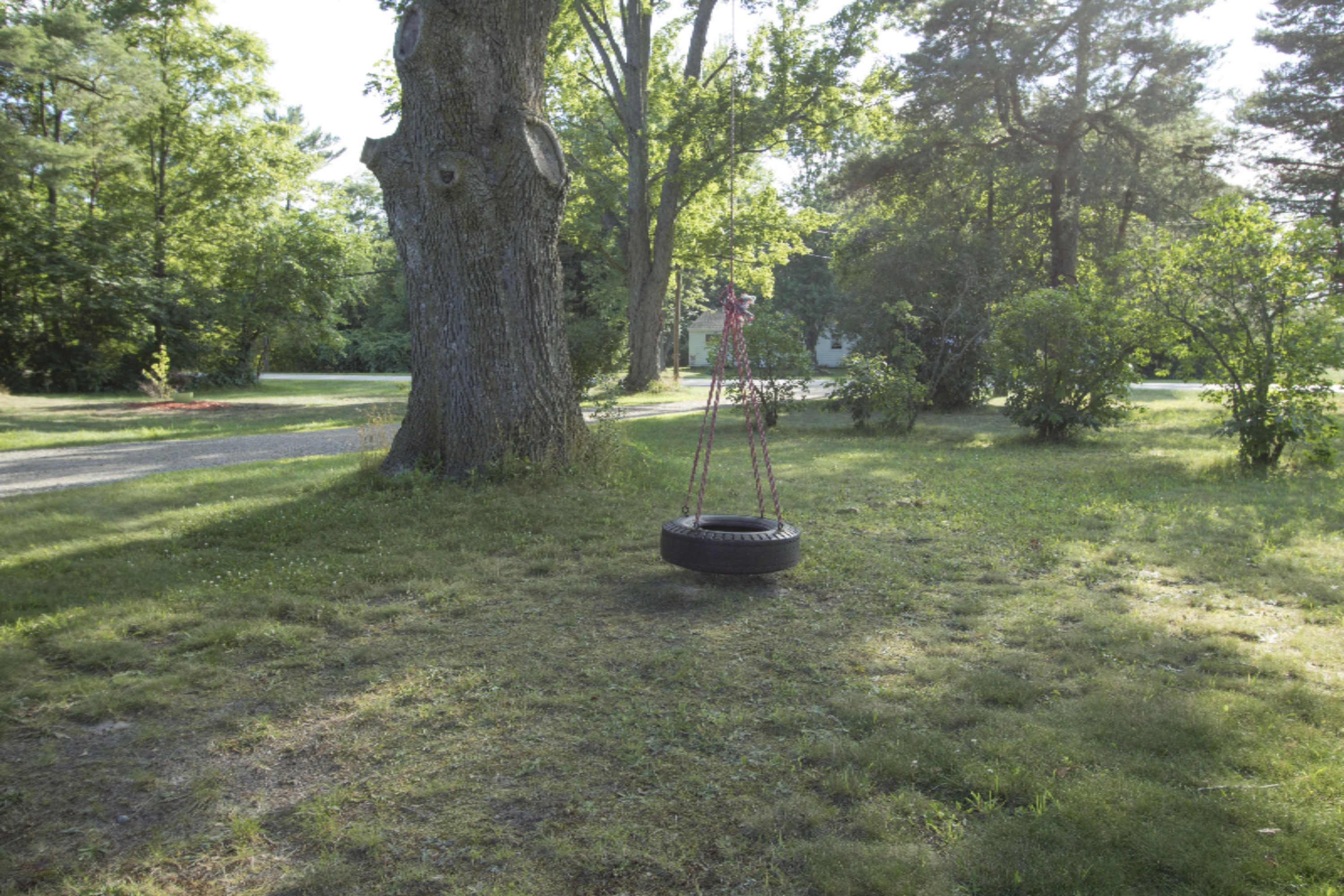 1460 South Walker Road Muskegon, MI 49442 - Photo 10 of 39 Tire Swing