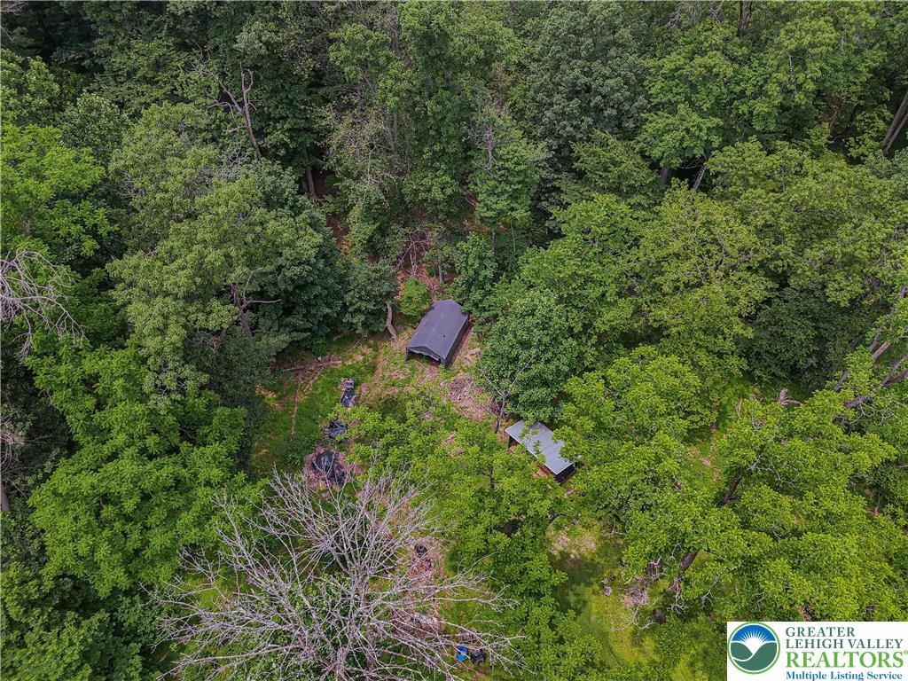 636 School Road Nazareth, PA 18064 - Photo 50 of 60 Aerial view of backyard near the wooded area
