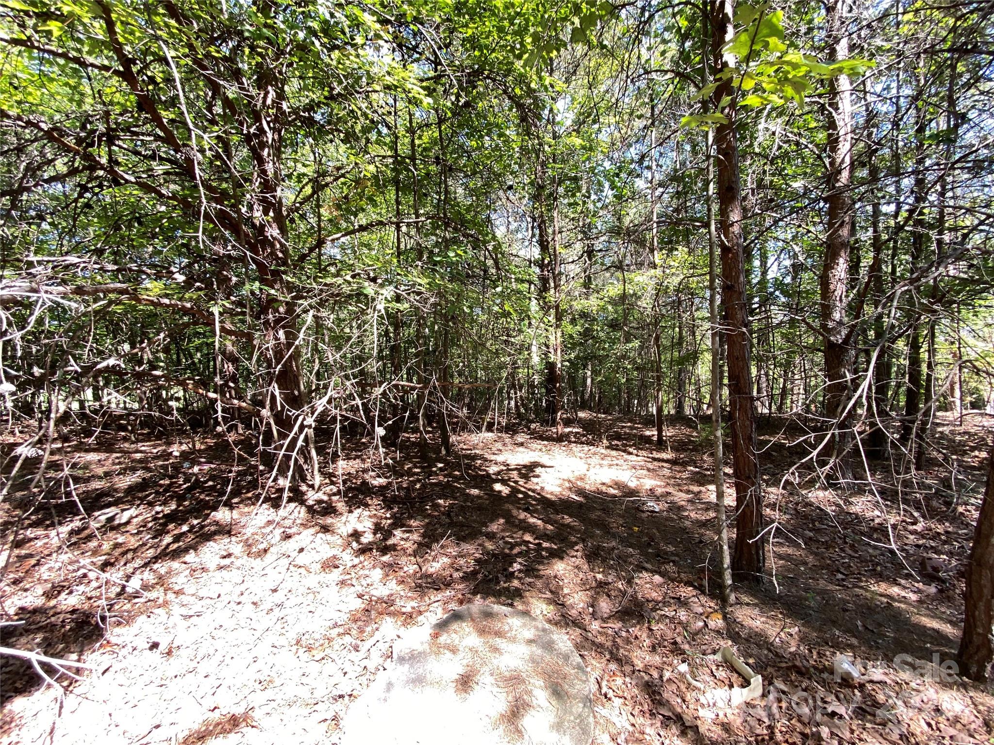 9999 Ridge Way, Unit 3 Marion, NC 28752 - Photo 2 of 4