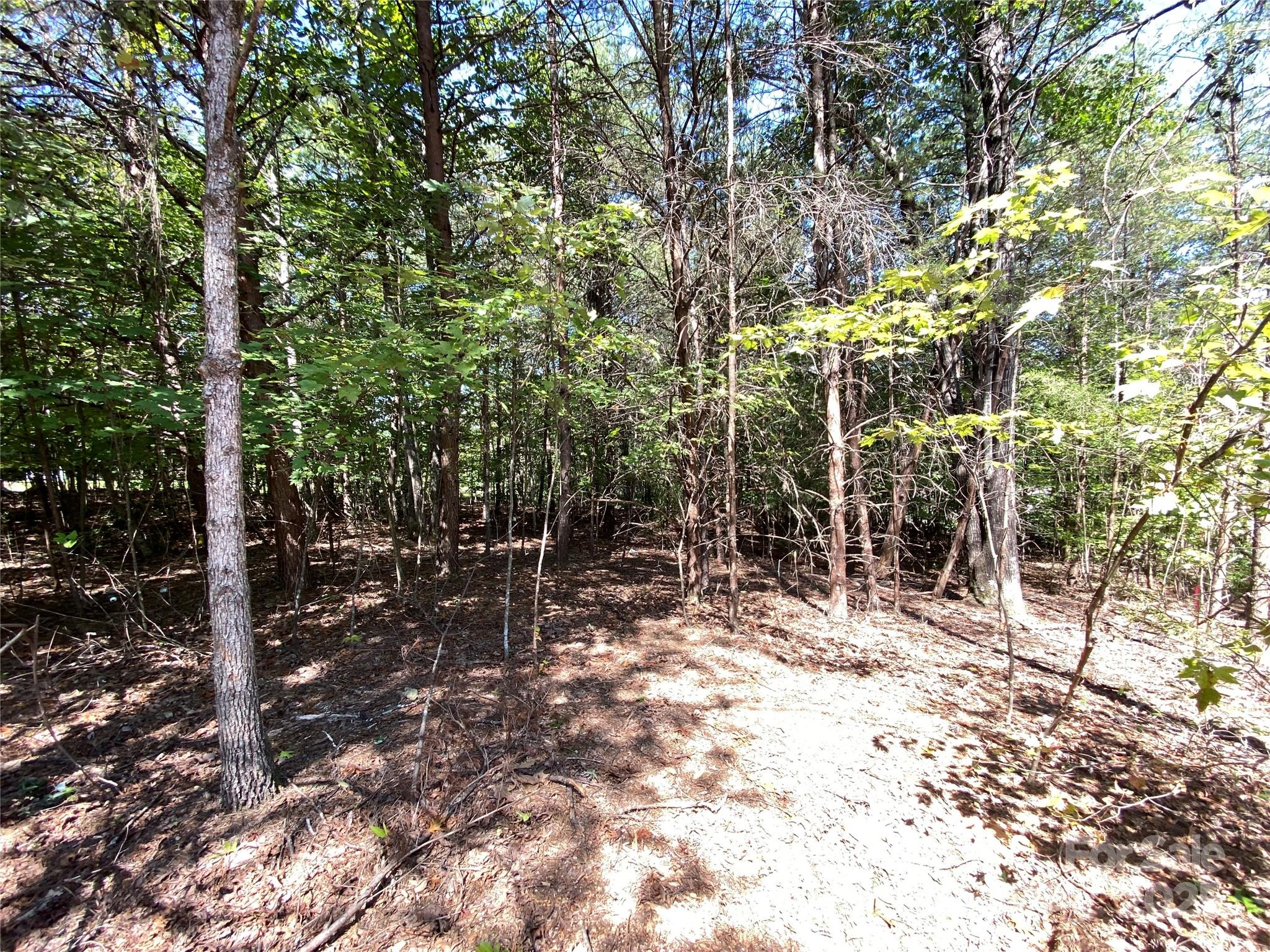 9999 Ridge Way, Unit 3 Marion, NC 28752 - Photo 3 of 4