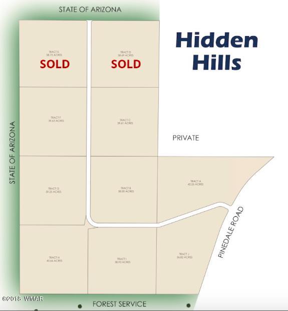 1442 South Hidden Hills Road Taylor, AZ 85939 - Photo 3 of 7