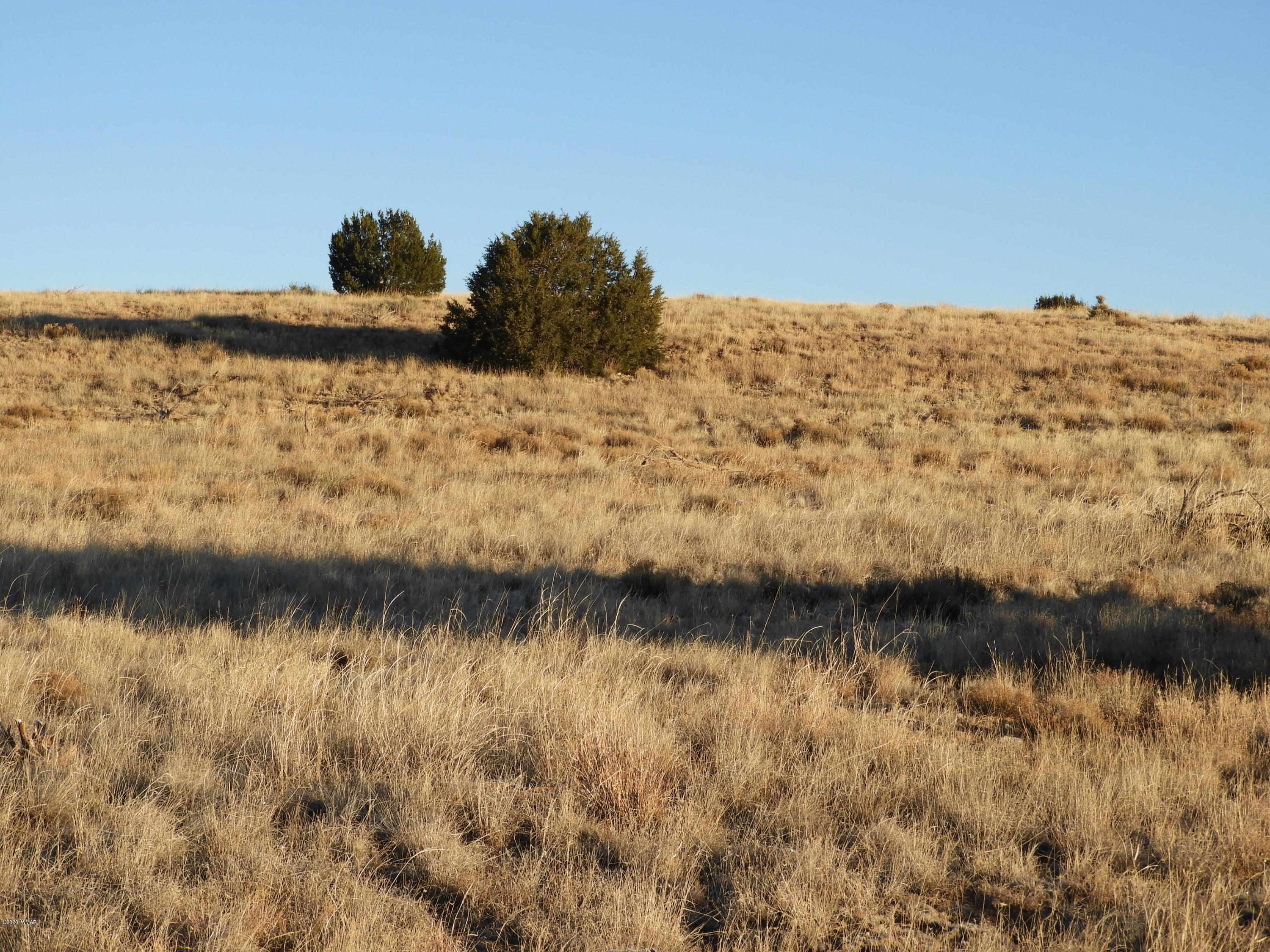1442 South Hidden Hills Road Taylor, AZ 85939 - Photo 4 of 7