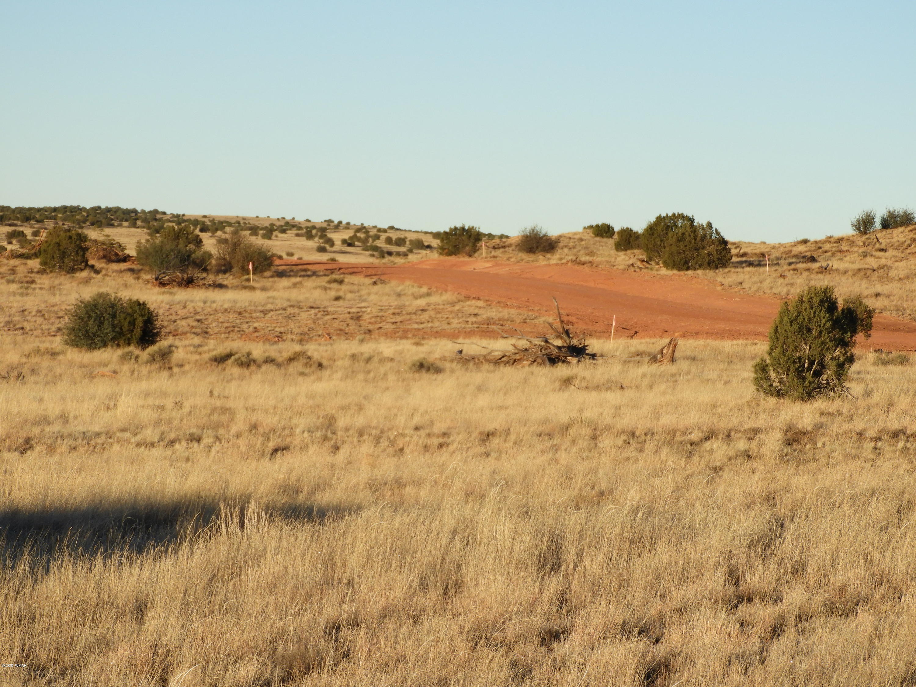 1442 South Hidden Hills Road Taylor, AZ 85939 - Photo 5 of 7