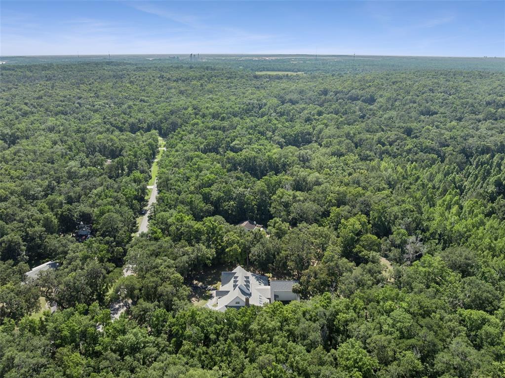 21033 Violet Road Brooksville, FL 34601 - Photo 59 of 68