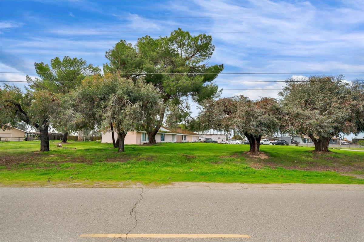 16860 Mark Road Madera, CA 93636 - Photo 49 of 76 a picture of a yard with a tree