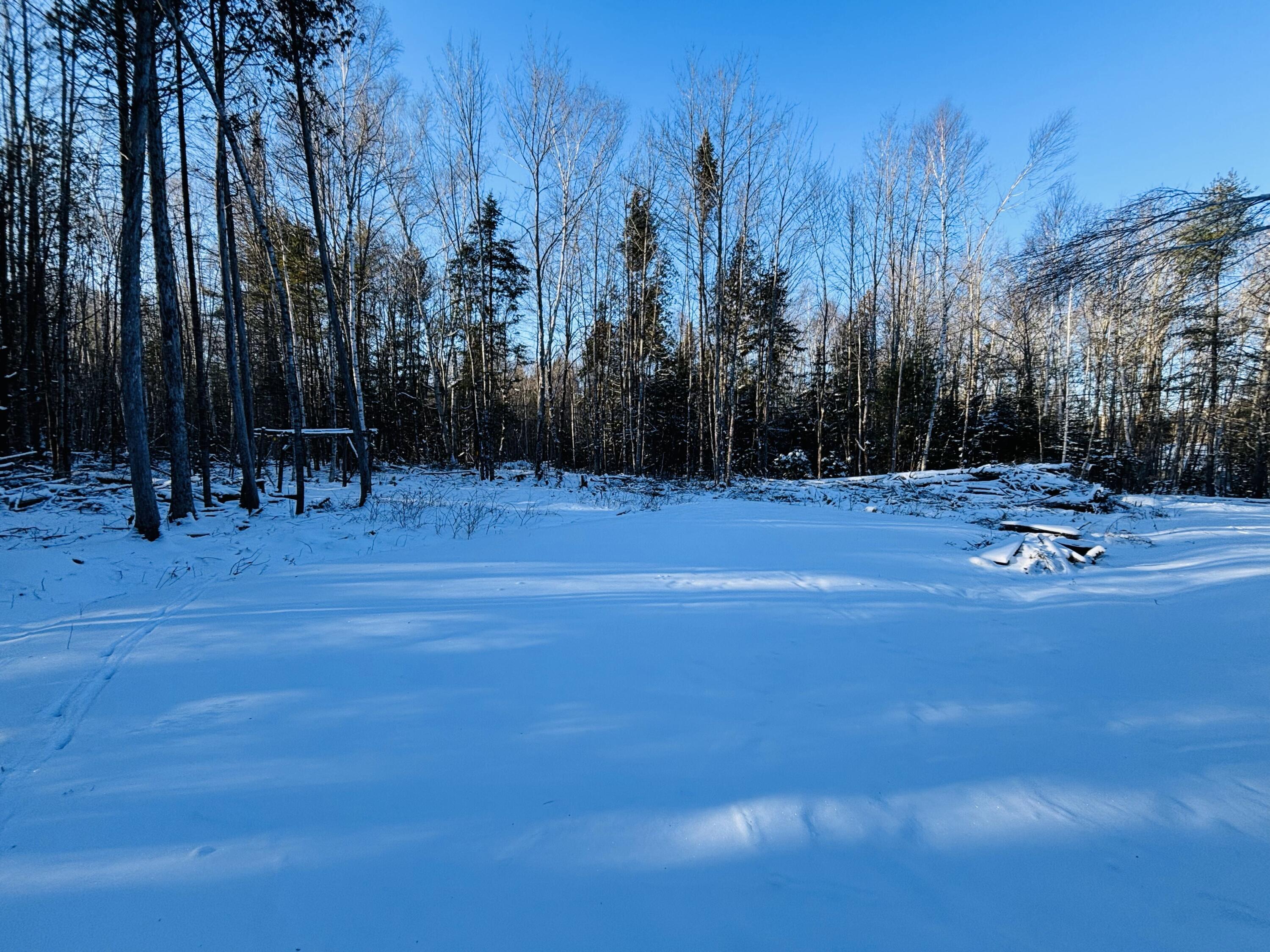 Tbd Tbd Jamie Road Newport, ME 04953 - Photo 12 of 14 12