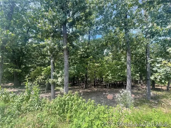 $20,000 | 37 Legacy Lane, Sunrise Beach, MO 65079