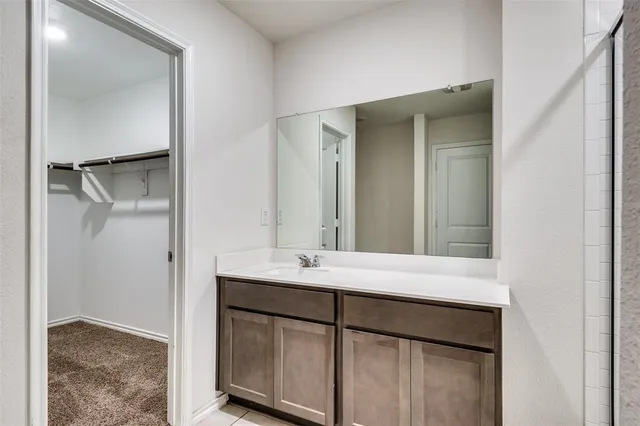 a bathroom with a shower and a sink