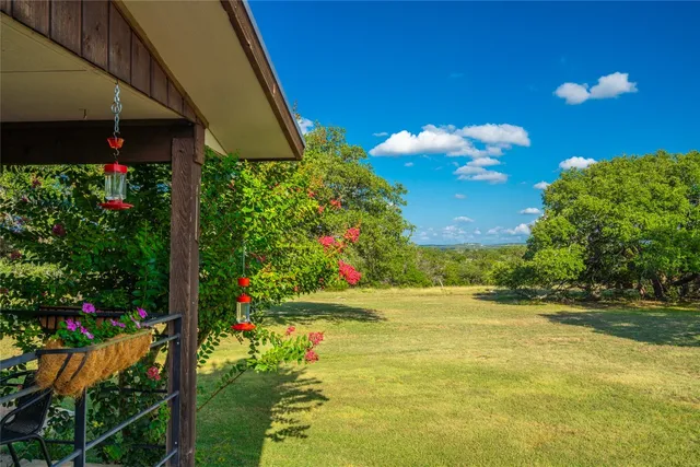 a view of a flower in a garden