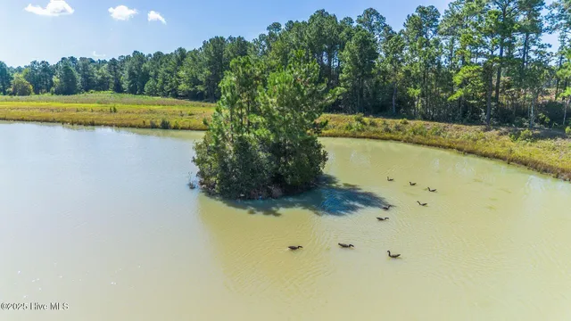 $600,000 | 14419 Highway 41, Harrells, NC 28444