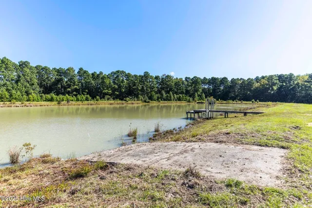 $600,000 | 14419 Highway 41, Harrells, NC 28444