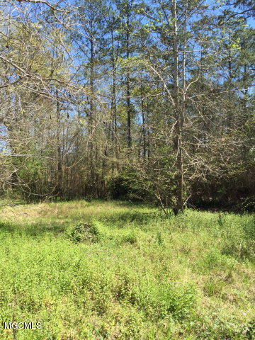 0 Dumas Wise Road Picayune, MS 39466 - Photo 1 of 4 167212_0