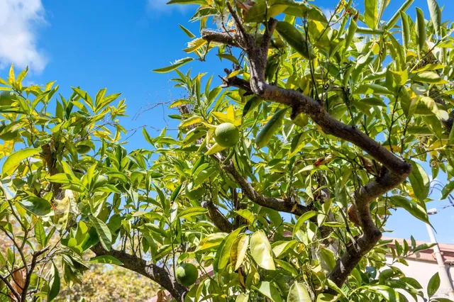 $390,000 | 600 Buss Avenue, Vallejo, CA 94591