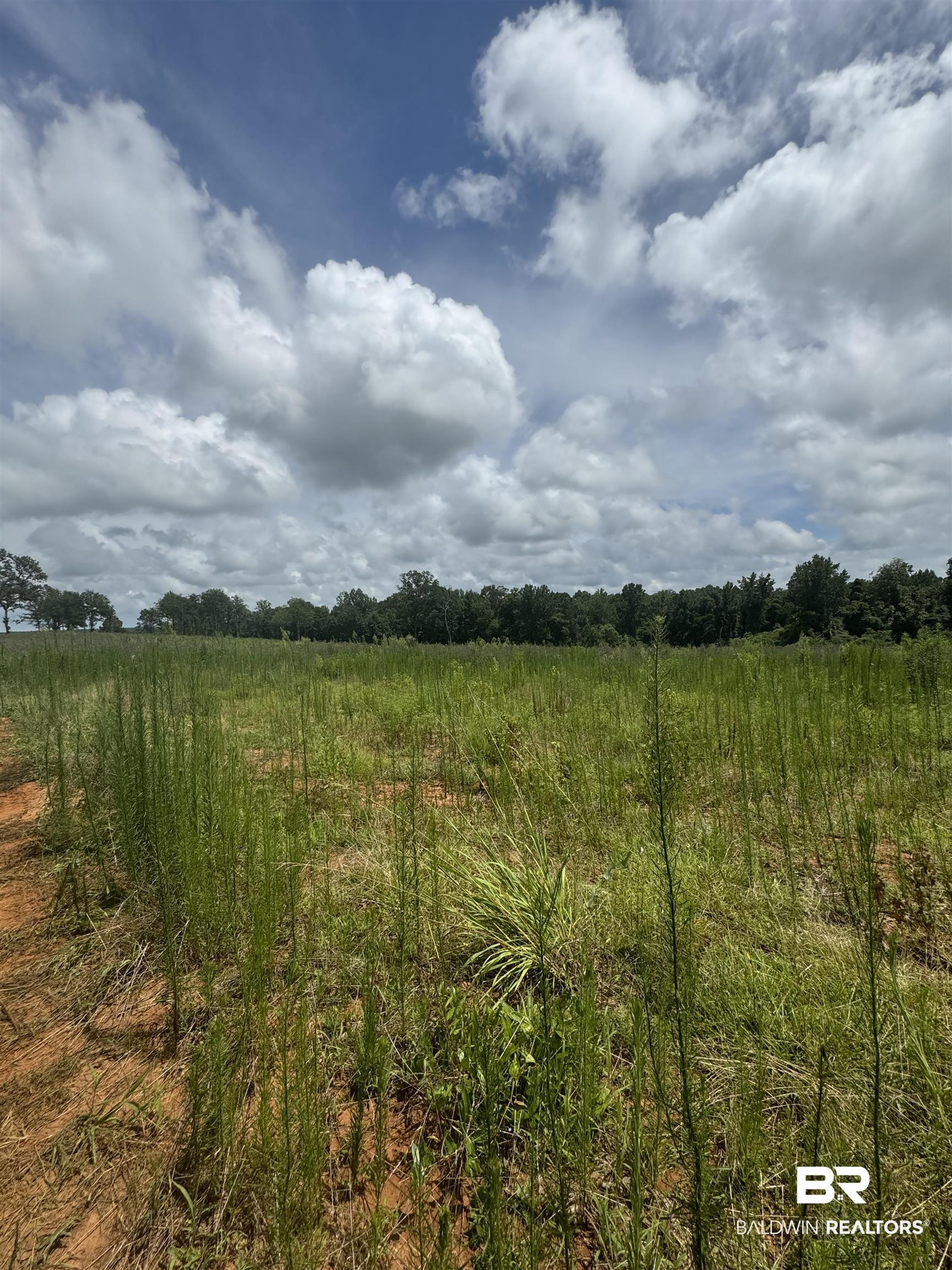 0 Deer Creek Road Monroeville, AL 36460 - Photo 16 of 19