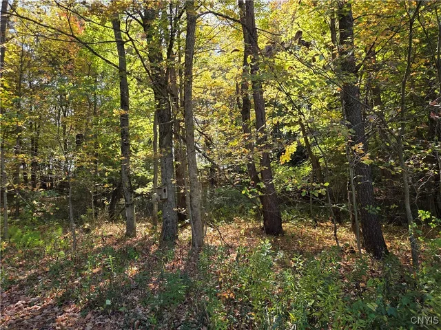 $55,000 | 4662 River Road, Greig, NY 13368