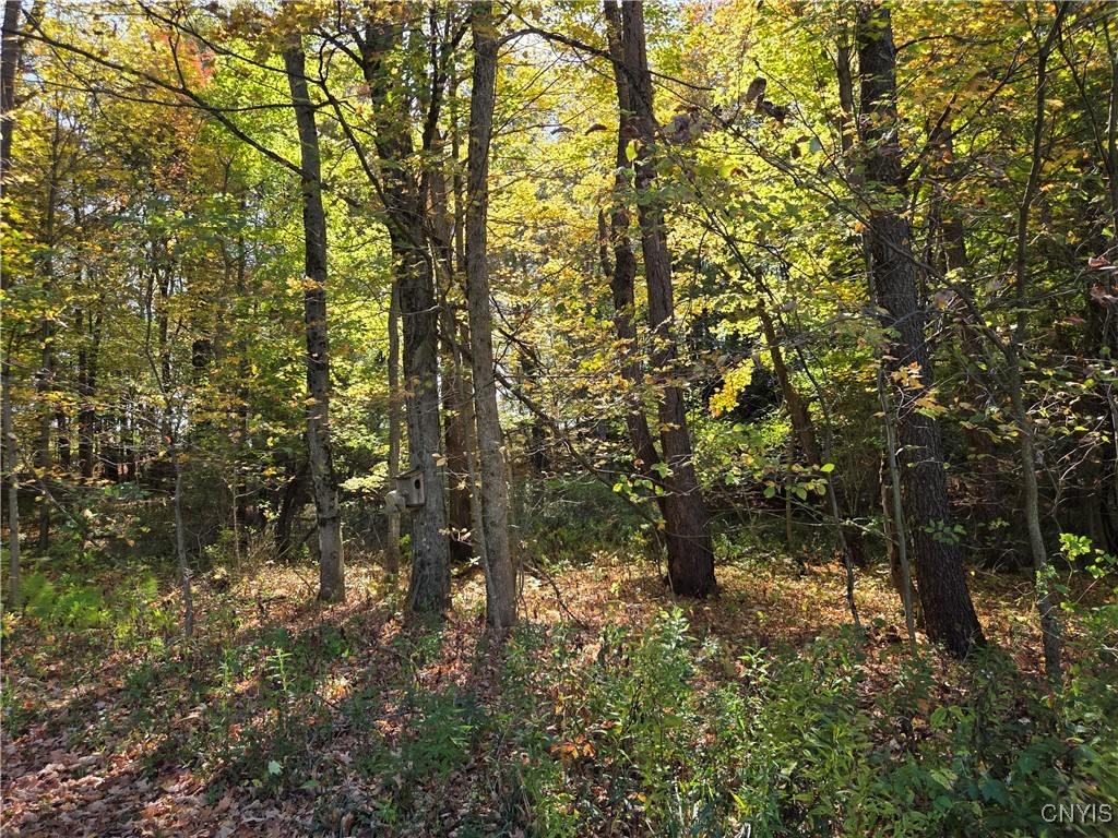 4662 River Road Greig, NY 13368 - Photo 21 of 22