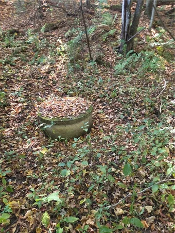 $55,000 | 4662 River Road, Greig, NY 13368