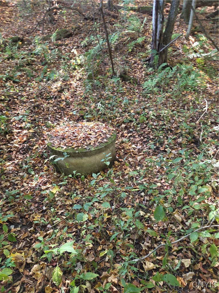 4662 River Road Lyons Falls, NY 13368 - Photo 22 of 22