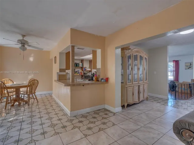 a view of a forest filled with trees