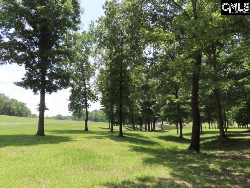 3296 Flat Rock Road Kershaw, SC 29067 - Photo 25 of 94