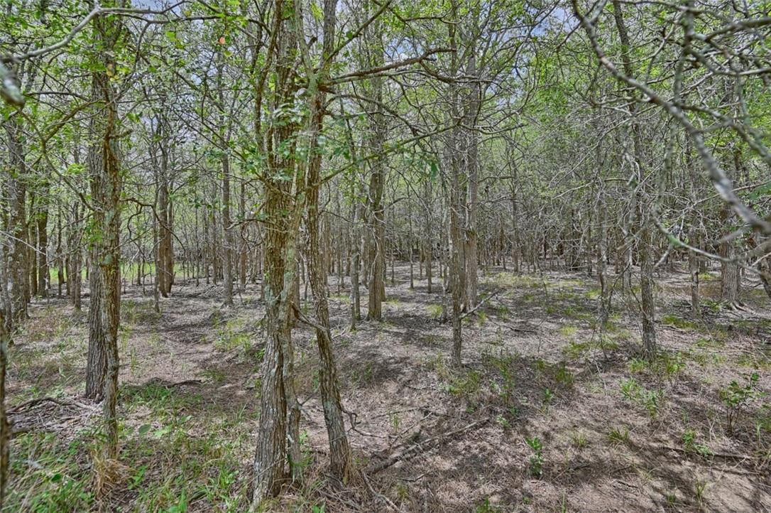 Lot 3-8 Starlight Path Red Rock, TX 78662 - Photo 6 of 18