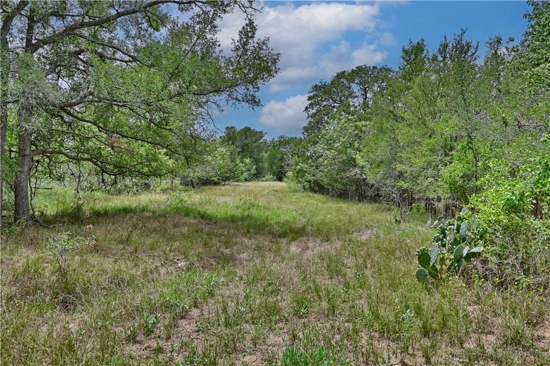 Lot 3-8 Starlight Path Red Rock, TX 78662 - Photo 7 of 18