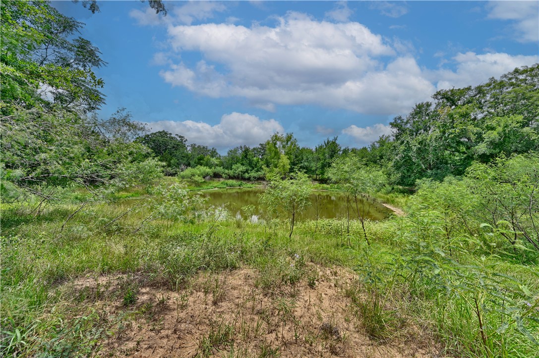 Lot 3-8 Starlight Path Red Rock, TX 78662 - Photo 10 of 18