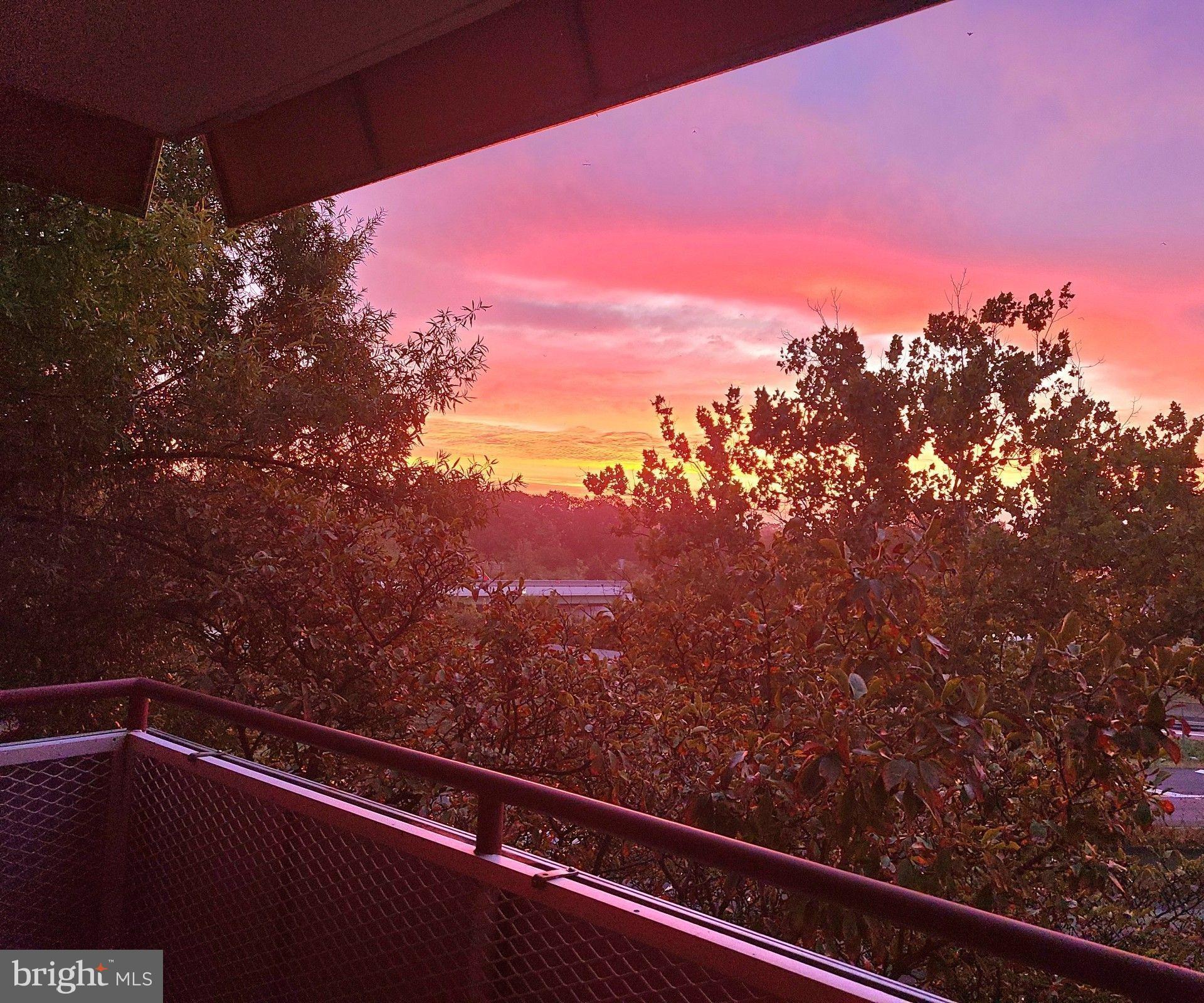 1021 Arlington Boulevard, Unit 330 Arlington, VA 22209 - Photo 15 of 48 a view of balcony