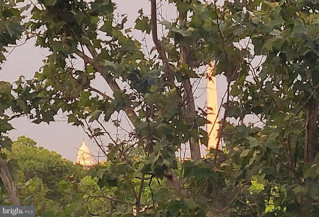 1021 Arlington Boulevard, Unit 330 Arlington, VA 22209 - Photo 16 of 48