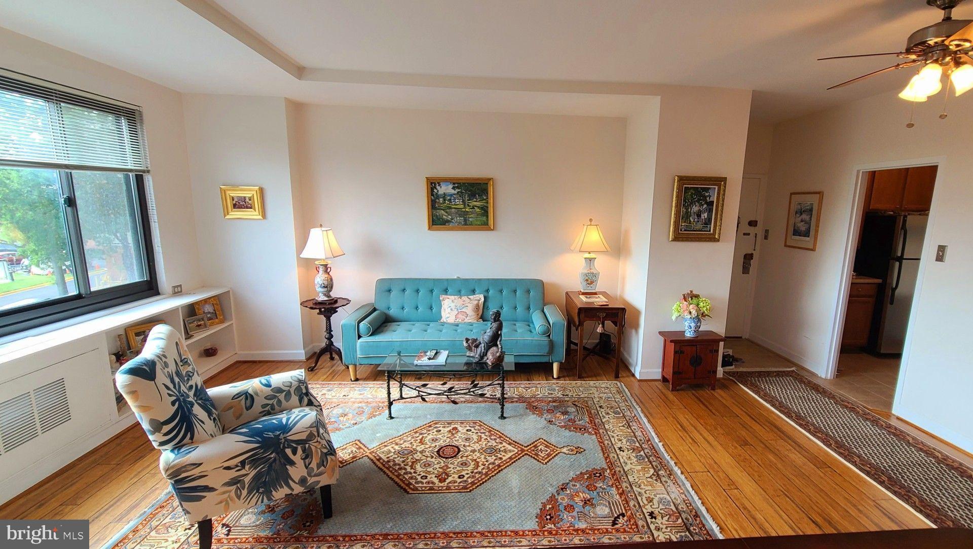 1021 Arlington Boulevard, Unit 330 Arlington, VA 22209 - Photo 2 of 48 a living room with furniture rug and window