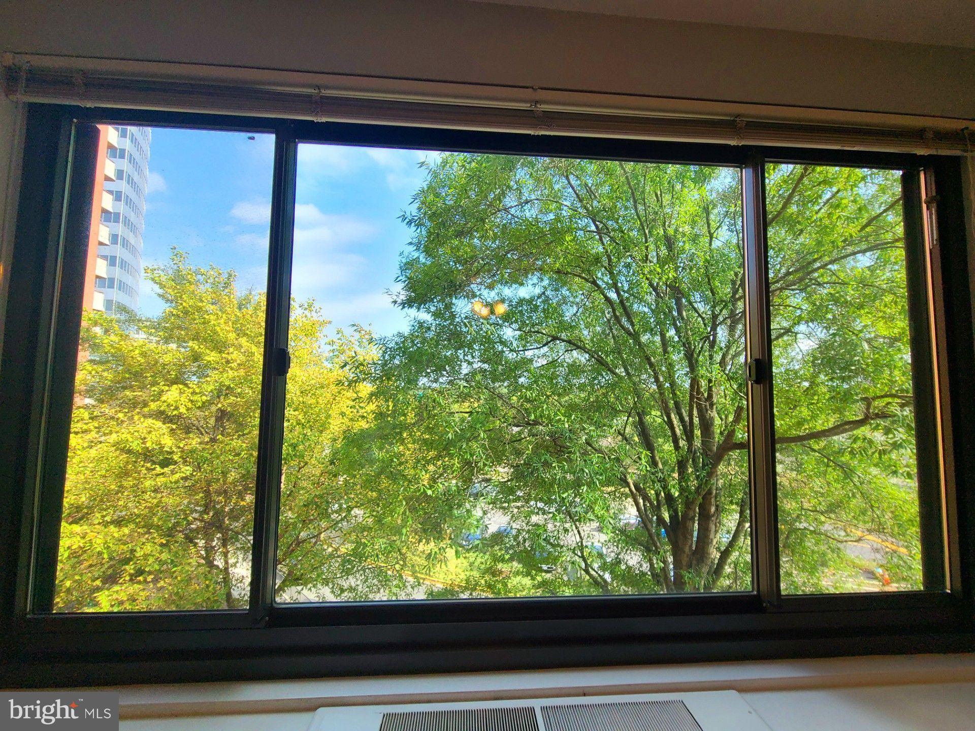 1021 Arlington Boulevard, Unit 330 Arlington, VA 22209 - Photo 24 of 48 a view of backyard from a window