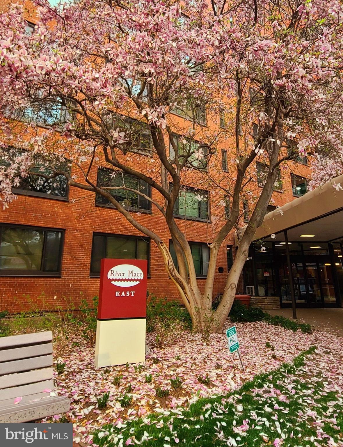 1021 Arlington Boulevard, Unit 330 Arlington, VA 22209 - Photo 43 of 48 a view of a tree with a tree