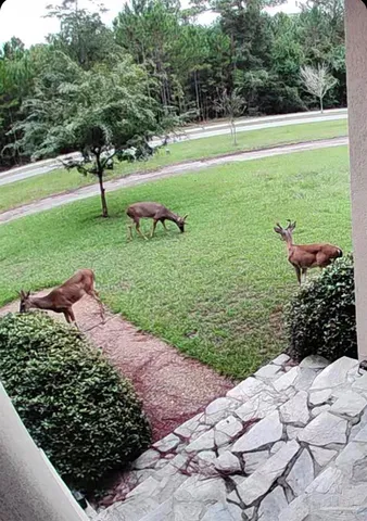 $460,000 | 4356 Judges Bayou, Milton, FL 32583